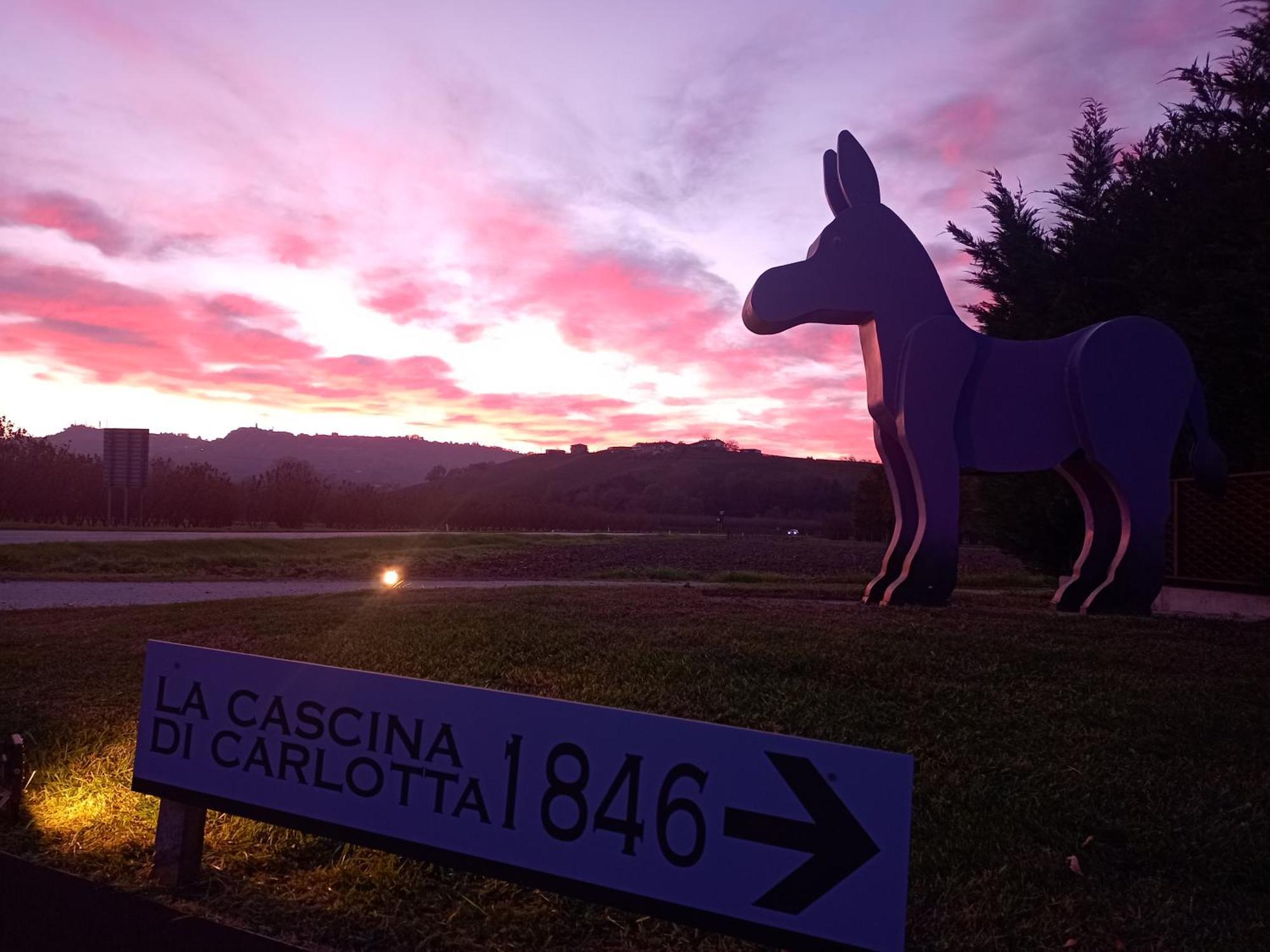 La Cascina Di Carlotta 1846 Agriturismo Альба Экстерьер фото